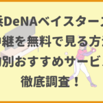 横浜DeNAベイスターズの試合中継を無料で見る方法は？目的別おすすめサービスも徹底調査！